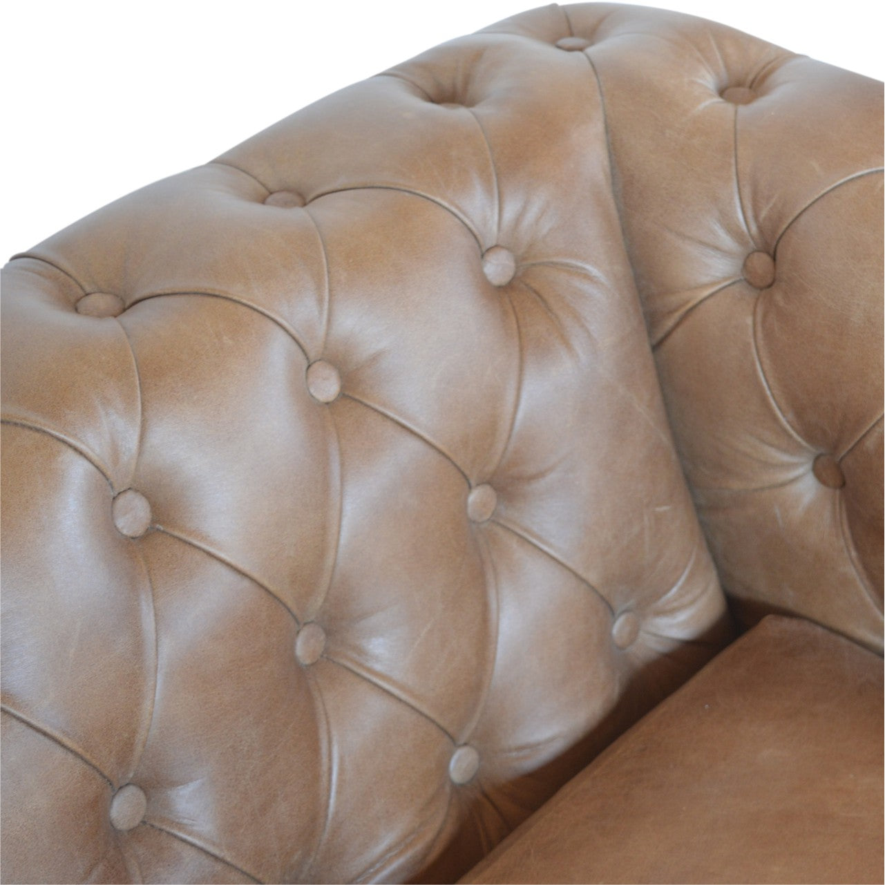 Buffalo Leather Chesterfield - verified alternate view 5